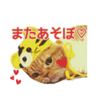きなことあんこ7（個別スタンプ：22）