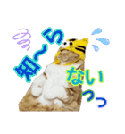 きなことあんこ7（個別スタンプ：23）