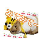 きなことあんこ7（個別スタンプ：26）