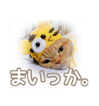 きなことあんこ7（個別スタンプ：28）