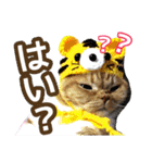 きなことあんこ7（個別スタンプ：30）