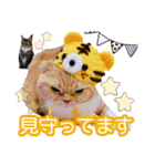 きなことあんこ7（個別スタンプ：31）