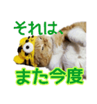 きなことあんこ7（個別スタンプ：32）