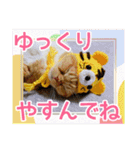 きなことあんこ7（個別スタンプ：33）