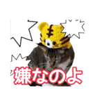 きなことあんこ7（個別スタンプ：36）