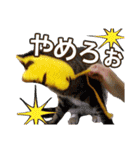 きなことあんこ7（個別スタンプ：39）