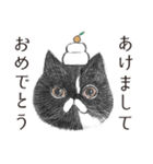 猫のごま吉（個別スタンプ：29）