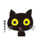 黒猫の日常で使えるスタンプ（個別スタンプ：24）