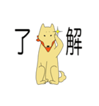 柴犬すももは今日も元気だ（個別スタンプ：4）