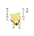 柴犬すももは今日も元気だ（個別スタンプ：16）