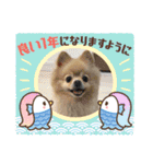 ポメラニアン☆レイン 2022（個別スタンプ：3）