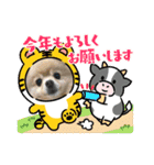 ポメラニアン☆レイン 2022（個別スタンプ：5）