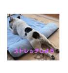 ブッコ（個別スタンプ：7）