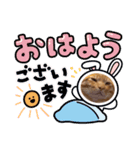 ちゃろちゅう（個別スタンプ：6）