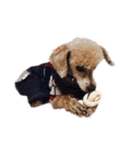 言葉にできない時の犬スタンプ（個別スタンプ：1）