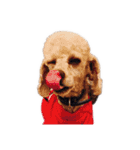 言葉にできない時の犬スタンプ（個別スタンプ：5）