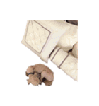 言葉にできない時の犬スタンプ（個別スタンプ：10）