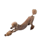 言葉にできない時の犬スタンプ（個別スタンプ：17）