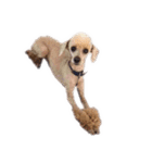 言葉にできない時の犬スタンプ（個別スタンプ：18）