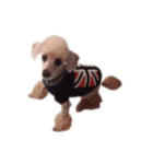 言葉にできない時の犬スタンプ（個別スタンプ：22）