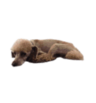 言葉にできない時の犬スタンプ（個別スタンプ：26）