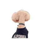 言葉にできない時の犬スタンプ（個別スタンプ：29）