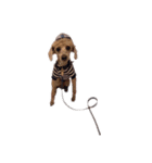 言葉にできない時の犬スタンプ（個別スタンプ：30）