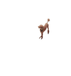 言葉にできない時の犬スタンプ（個別スタンプ：31）