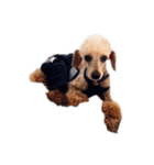 言葉にできない時の犬スタンプ（個別スタンプ：32）