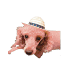 言葉にできない時の犬スタンプ（個別スタンプ：33）
