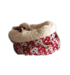 言葉にできない時の犬スタンプ（個別スタンプ：34）