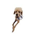 言葉にできない時の犬スタンプ（個別スタンプ：39）