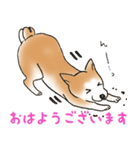 柴犬のムーンくんスタンプ（個別スタンプ：1）