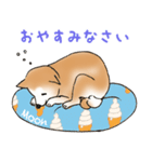 柴犬のムーンくんスタンプ（個別スタンプ：2）