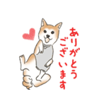 柴犬のムーンくんスタンプ（個別スタンプ：8）