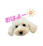 COCO V7（個別スタンプ：3）