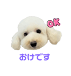 COCO V7（個別スタンプ：10）