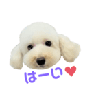 COCO V7（個別スタンプ：12）
