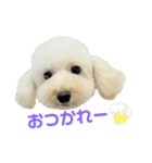 COCO V7（個別スタンプ：14）