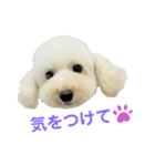 COCO V7（個別スタンプ：16）