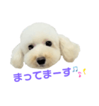 COCO V7（個別スタンプ：20）
