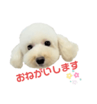COCO V7（個別スタンプ：23）