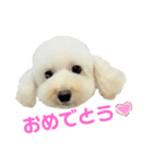 COCO V7（個別スタンプ：24）