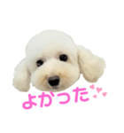 COCO V7（個別スタンプ：26）