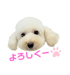 COCO V7（個別スタンプ：27）