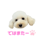 COCO V7（個別スタンプ：28）