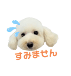 COCO V7（個別スタンプ：29）