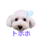 COCO V7（個別スタンプ：32）