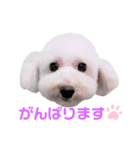 COCO V7（個別スタンプ：33）