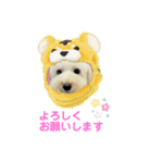 COCO V7（個別スタンプ：38）